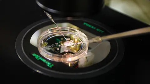 Groundbreaking Development: Scientists Create Human Embryos Using Skin DNA