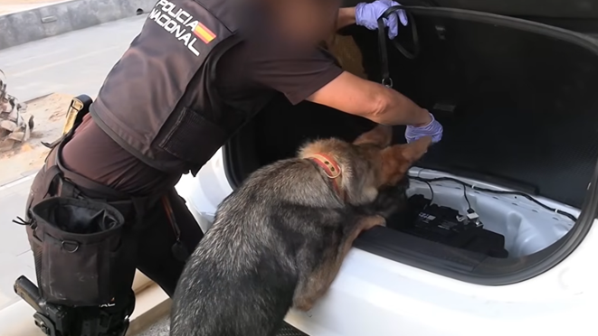 Spanish Police Shatter One of Western Mediterranean's Largest Smuggling Networks