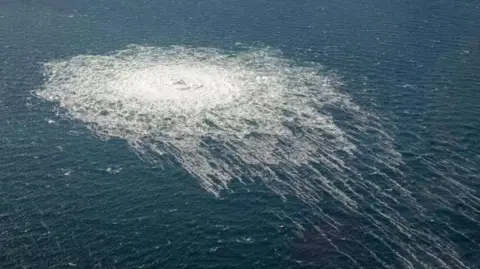 Ukrainian Ex-Military Officer Claims Italian Authorities Pressured Him Over Nord Stream Attack