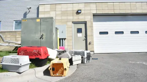 FBI's Incinerator Burn Leads to Hospitalization of Animal Shelter Staff