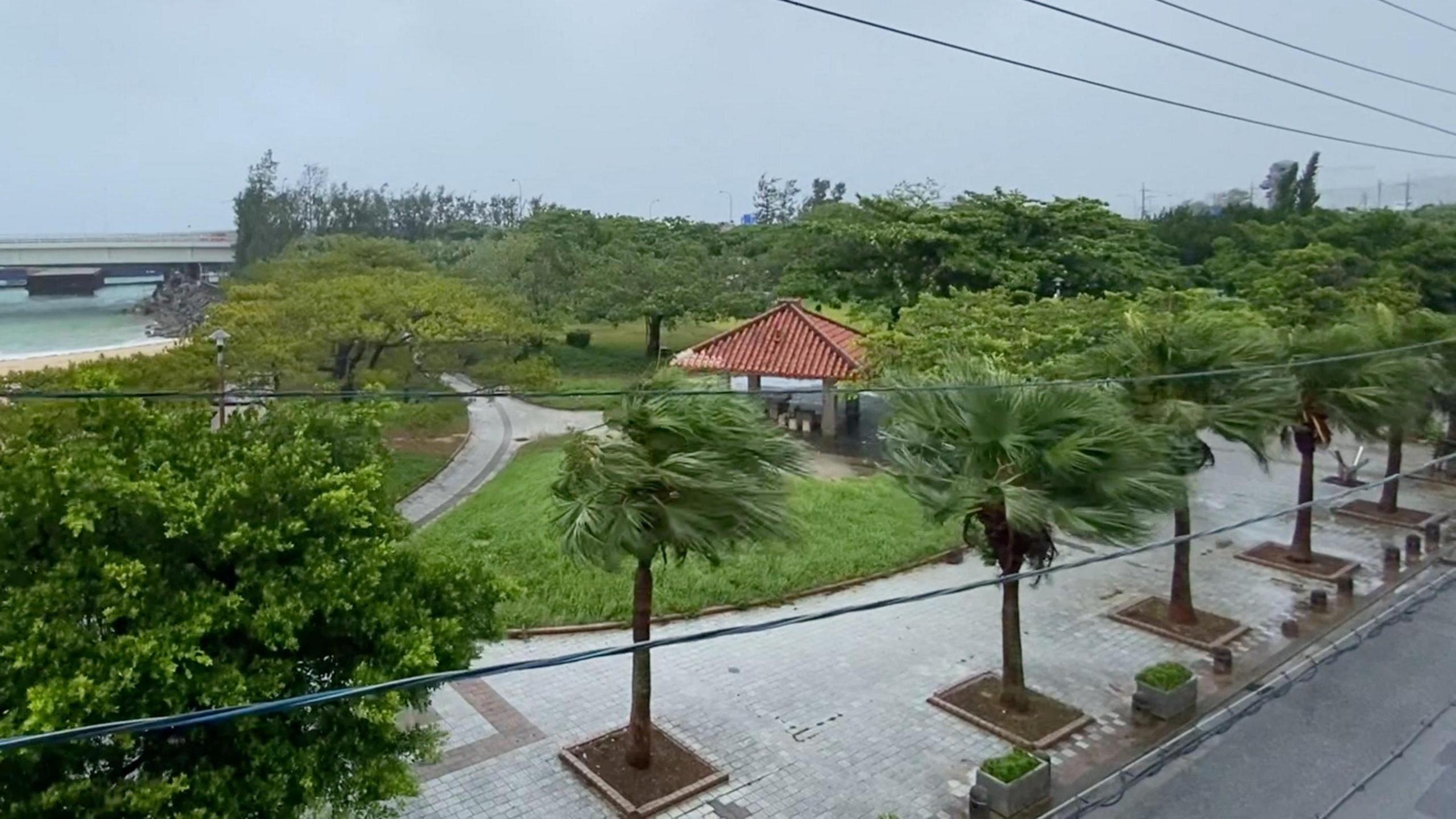 Typhoon Dolphin Hits Okinawa, Braces China as Storm Intensifies