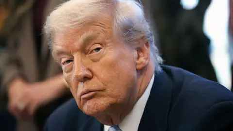 Trump Signs Bill to Release Epstein Files Amid Controversy