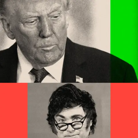 Milei's Bold Reforms: Economic Triumph or Political Fallout?