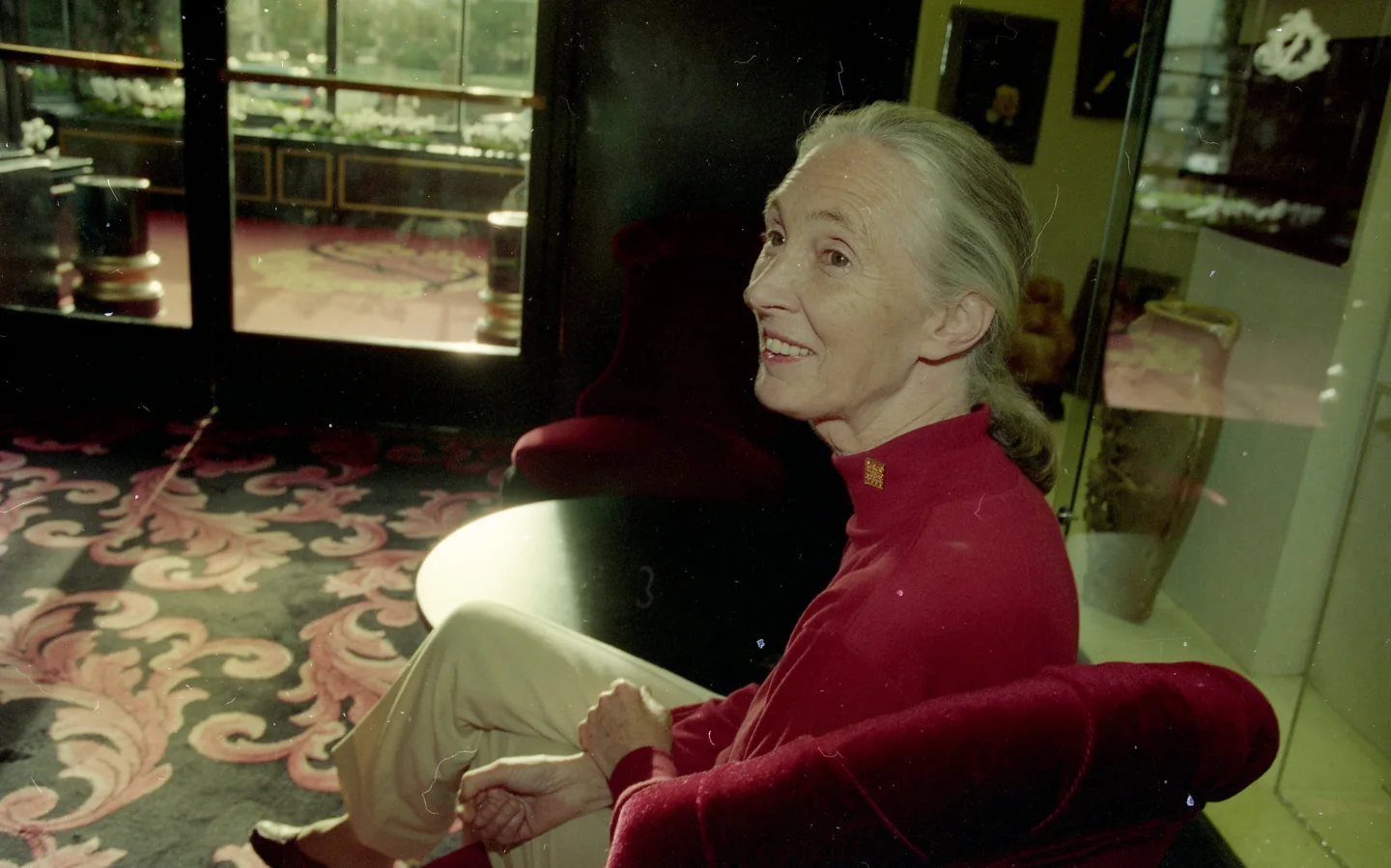 Remembering Jane Goodall: A Life Dedicated to Animal Conservation and Advocacy