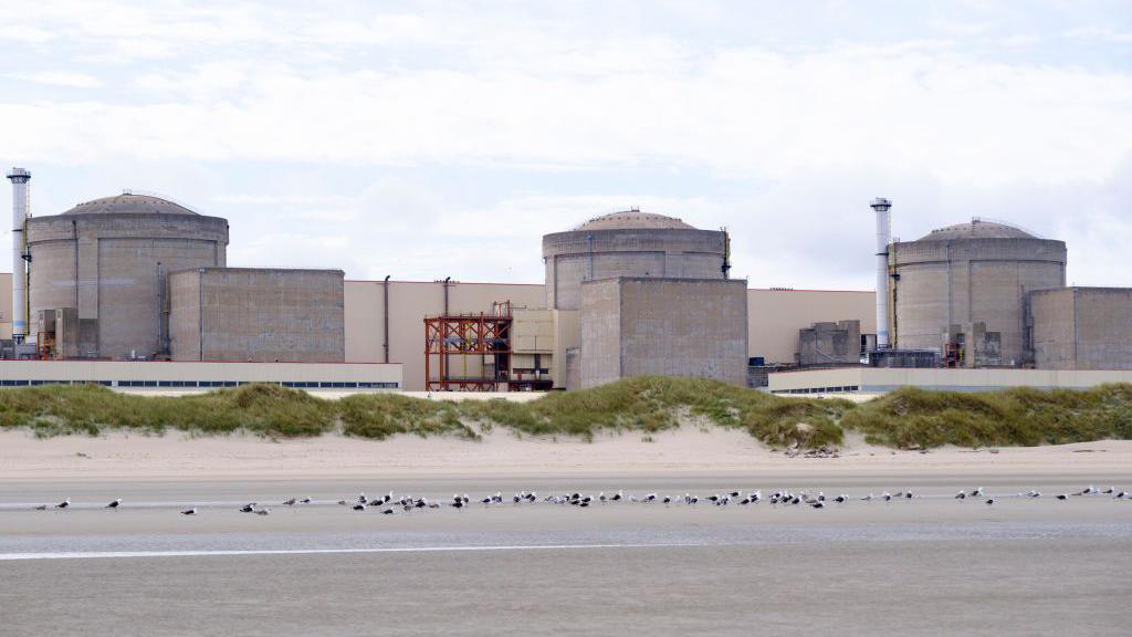 Massive Jellyfish Swarm Forces Partial Shutdown of Gravelines Nuclear Power Station
