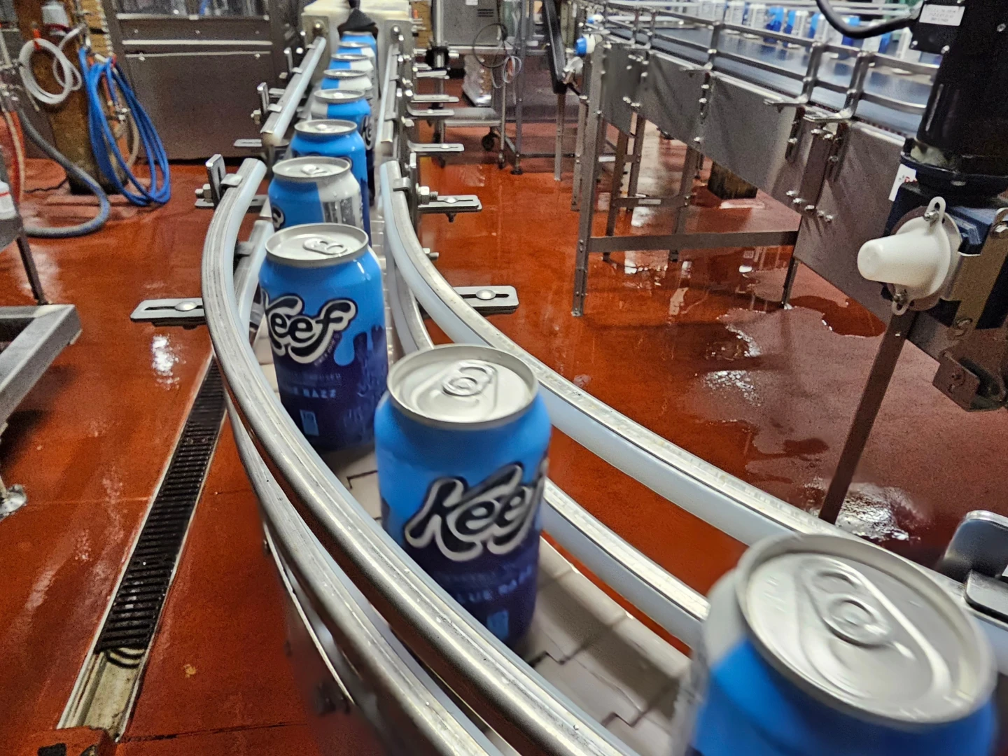 Hemp Industry Faces Uncertain Future Due to New Federal Ban