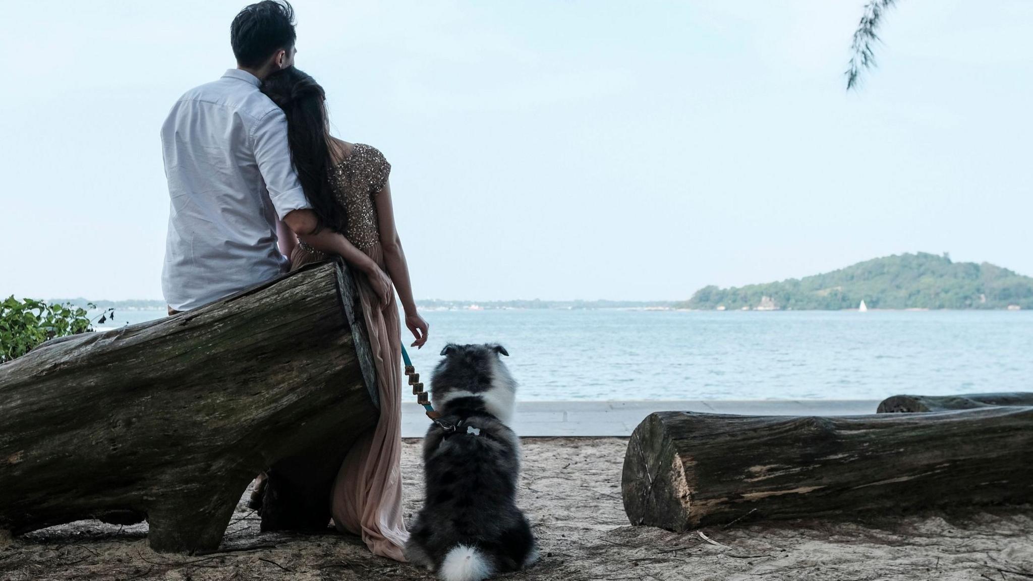 Singapore’s Matchmaking Experiment: Government-Run Dating App Seeks to Boost Birthrate