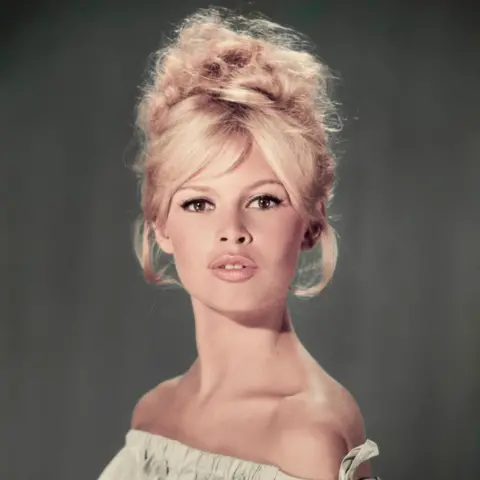 Brigitte Bardot: An Icon of Liberation and Controversy