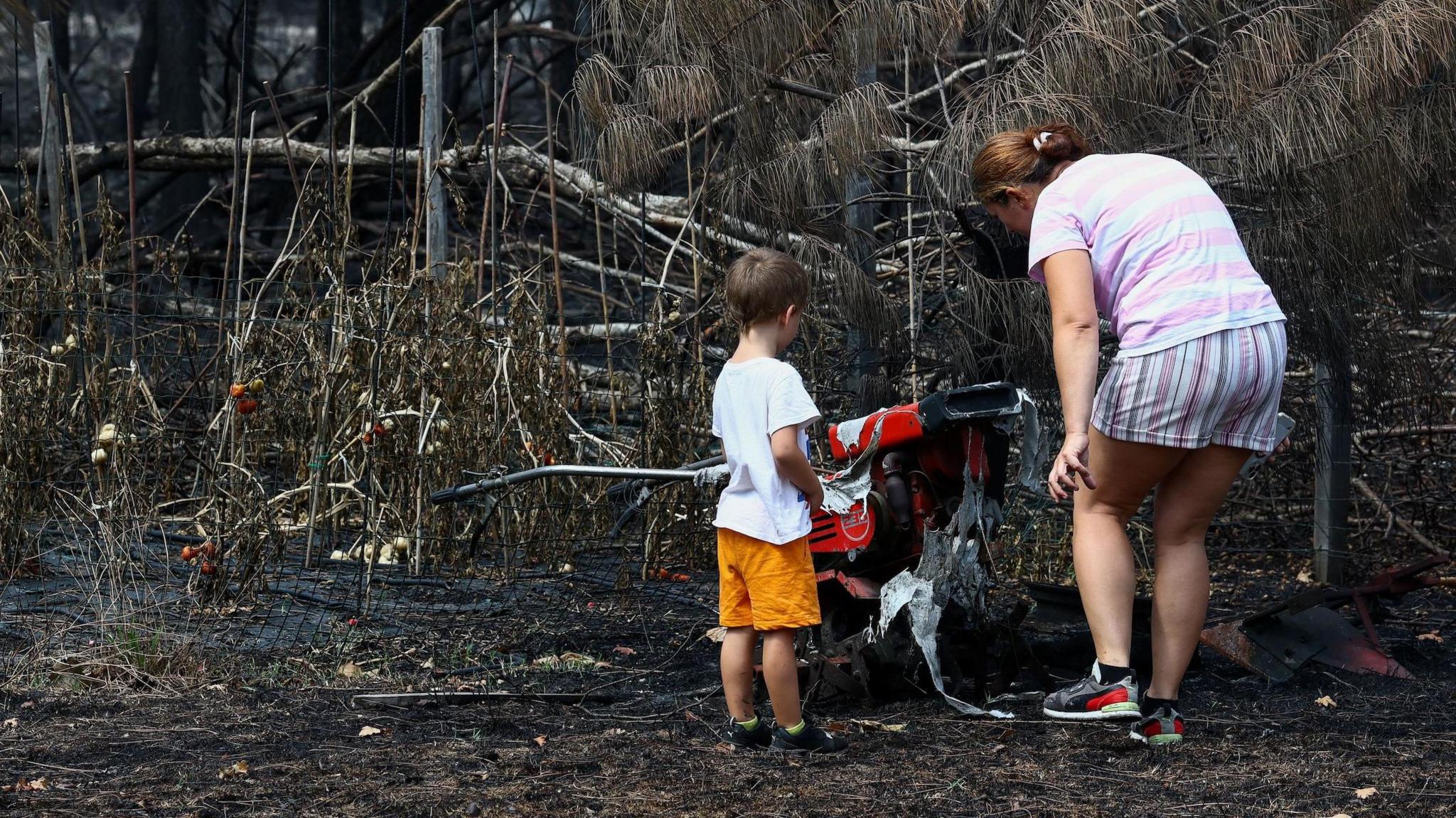 Wildfire in Southern France Uncovers 400 Historic WWII Munitions