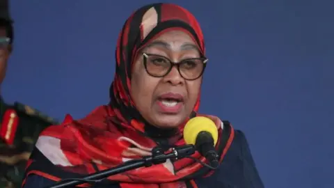 Tanzania's Global Image Deteriorates Amid Election Violence, President Suluhu Hassan Reports