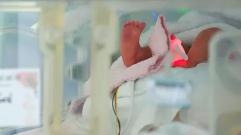 Reunion After 35 Years: The Remarkable Story of Two Austrian Women Switched at Birth