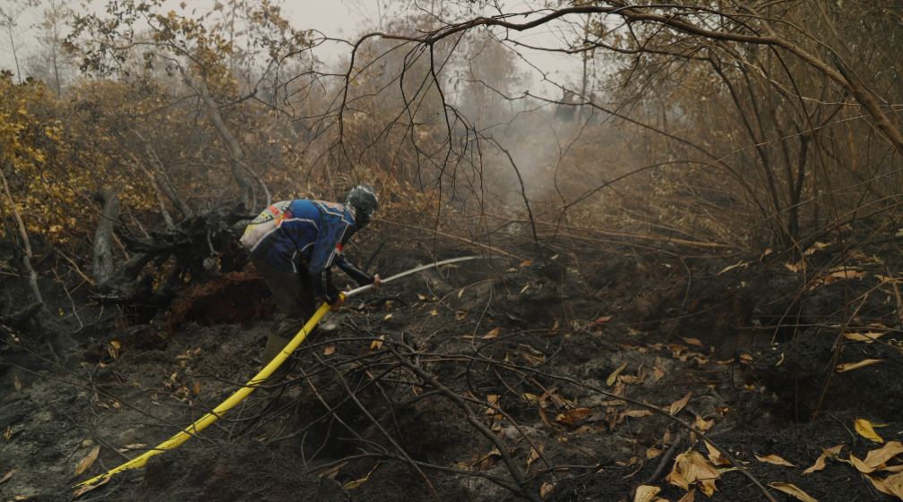 Firefighter fighting a blaze in a charred forest