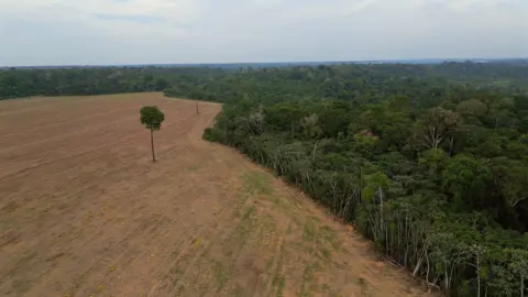 Amazon Rainforest Faces Threat as Soy Moratorium Under Siege