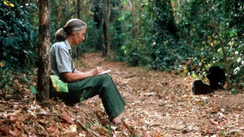 The Legacy of Dame Jane Goodall: A Titan of Conservation Dies at 91