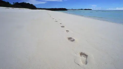 Assumption Island: Is Its Fate Tied to Seychelles' Political Future?