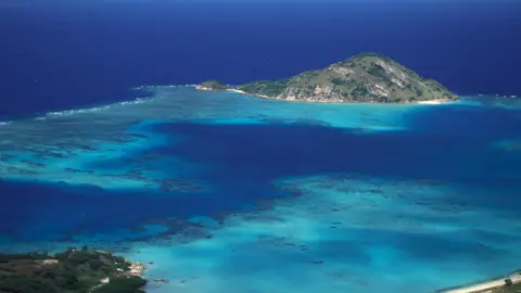 Tragedy on the Great Barrier Reef: Woman Found Dead After Missing from Cruise