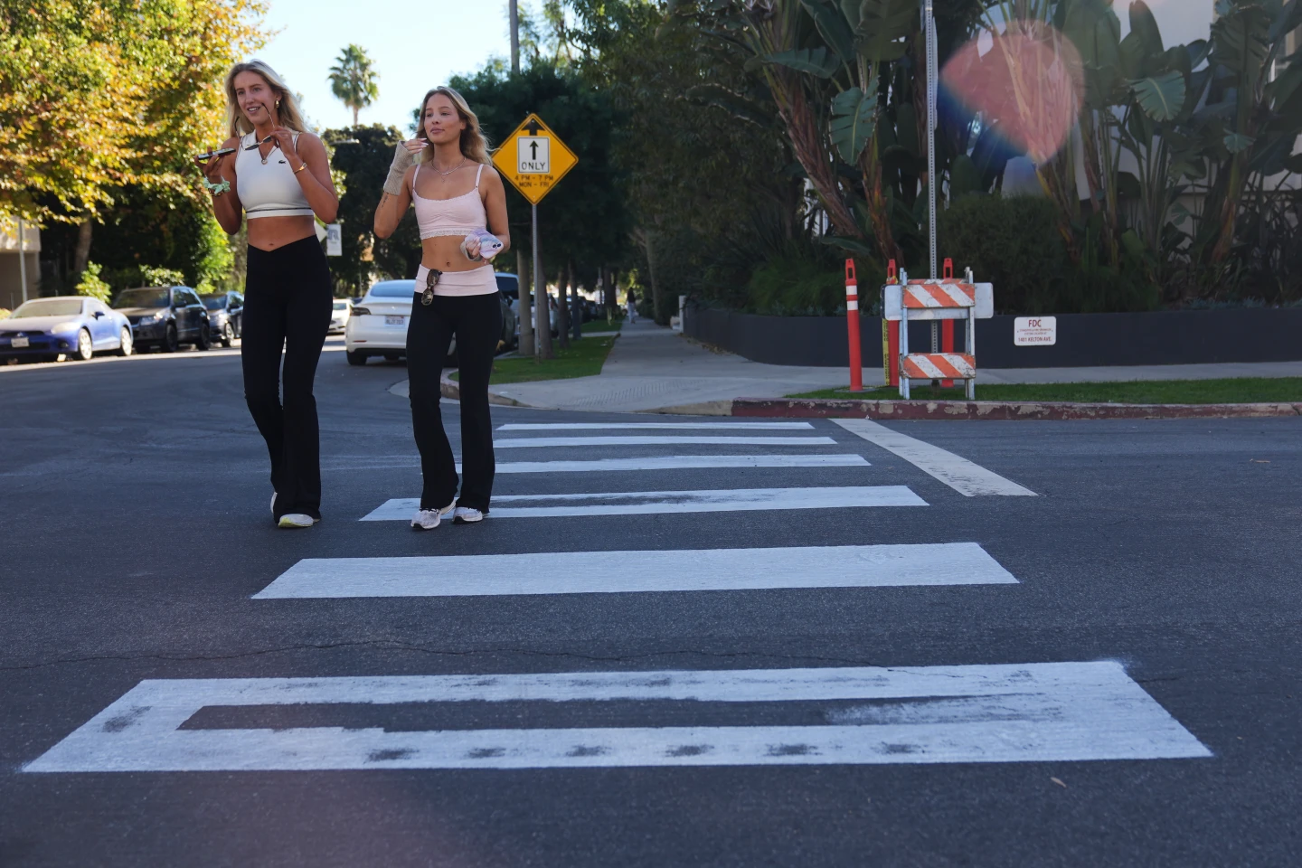 LA Activist Arrested for Painting Unsafe Crosswalks