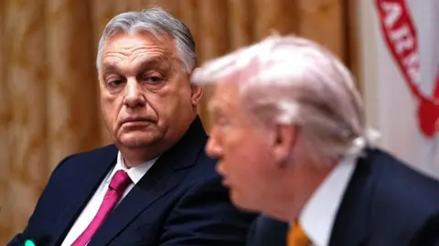 Hungary's Orban Gains from Trump: A Mixed Bag