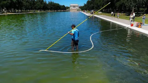 Olympian Arrest: Former U.S. Champion Faces Vandalism Charges Over Reflecting Pool
