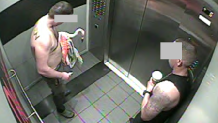 Canadian tourist carrying stolen flamingo into hotel room
