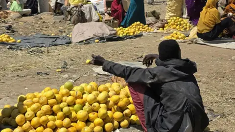 Fruits of War: Jebel Marra's Agriculture Amidst Crisis