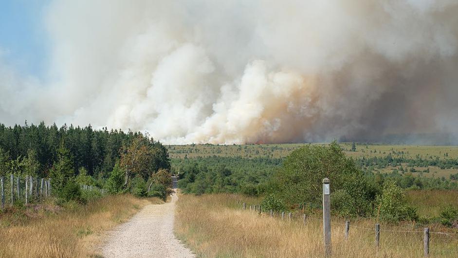 Belgian Wildfire Swamps Nature Reserve, Sparks European Response