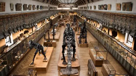 Stolen Gold Nuggets Uncovered: Arrest Made in Paris Museum Theft