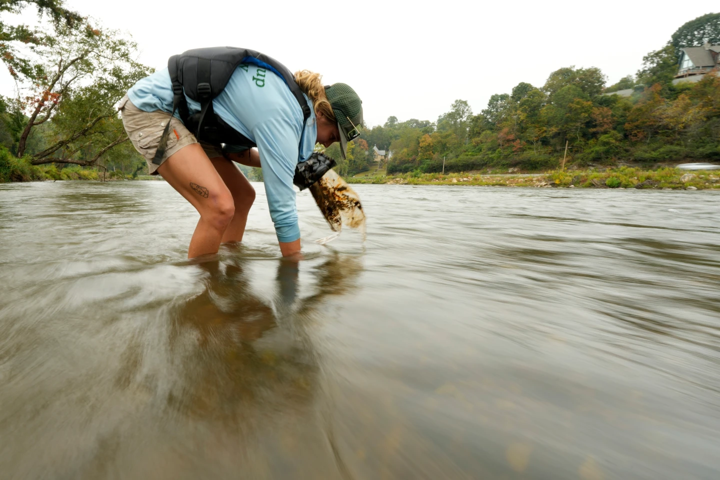Ongoing Cleanup Missions in North Carolina: The Aftermath of Hurricane Helene