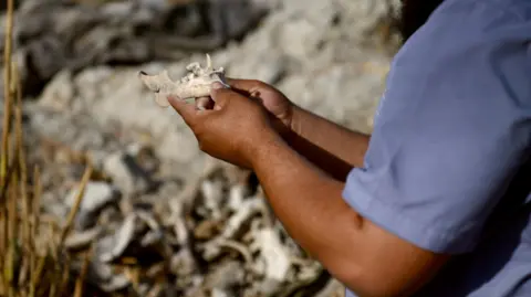 The Unseen Justice: Families of Syria's Missing Seek Answers in a Post-Assad Era