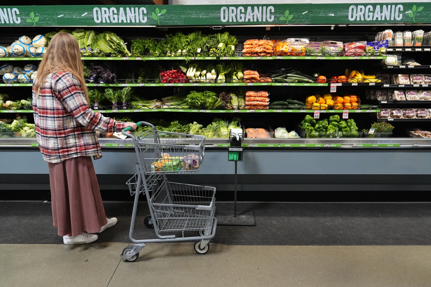 SNAP Benefits Interrupted Amid Government Shutdown: Affected Americans Await Relief