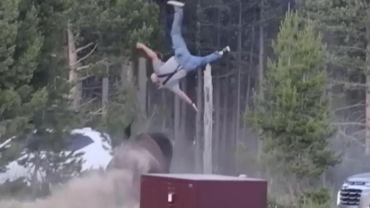 Yellowstone Alert: Bull Bison Lifts Elderly Man Into Air After Attack